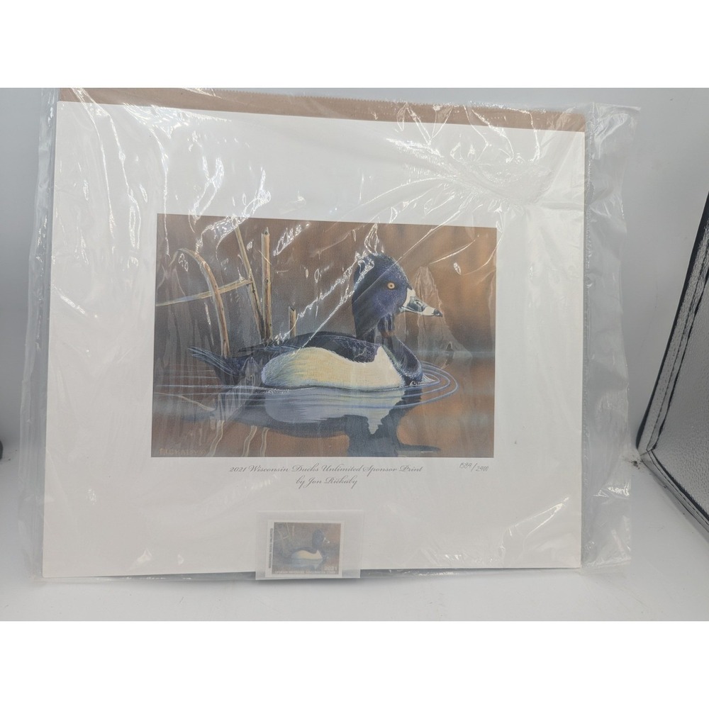 Ducks Unlimited Wisconsin Sponsor Print 2021 With Stamp 1584/2400 Jon Rickaby